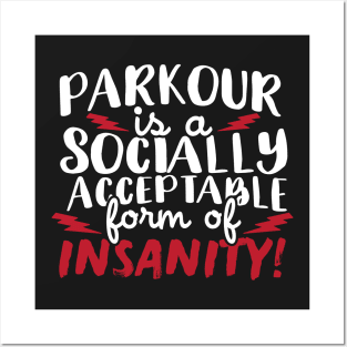 Parkour Is A Socially Acceptable Form Of Insanity Posters and Art